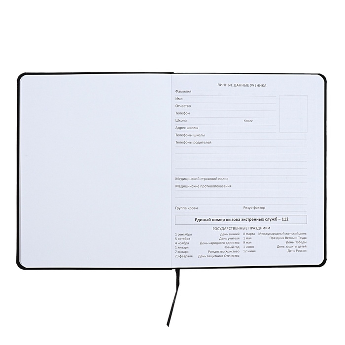 Дневник универсальный для 1-11 класса "Какой день недели?", интегральная обложка, искусственная кожа, шелкография, ляссе, 80 г/м2