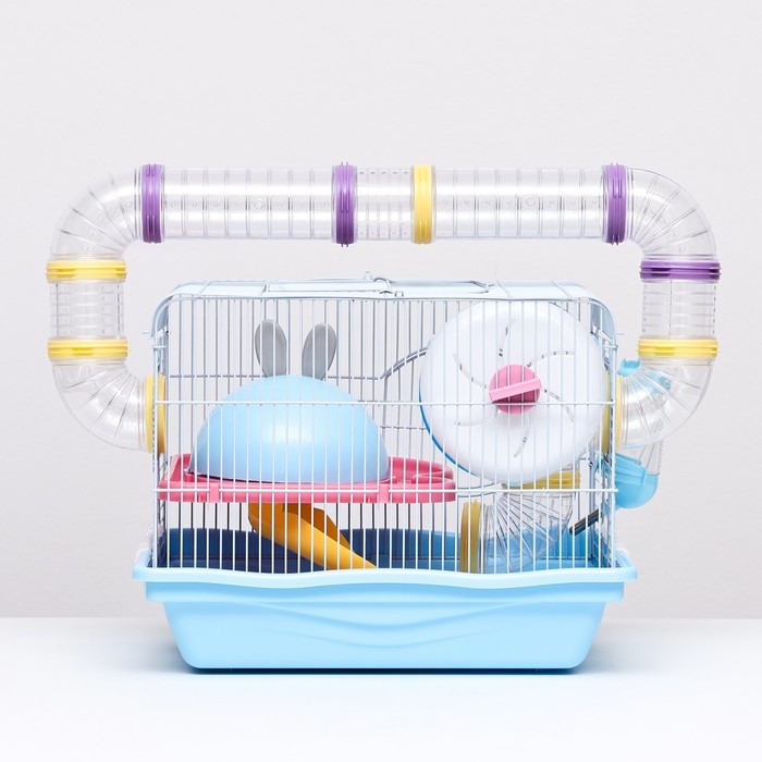 Клетка для грызунов Клетка для грызунов "Пижон", укомплектованная с туннелем, 37 х 27 х 30 см, синий