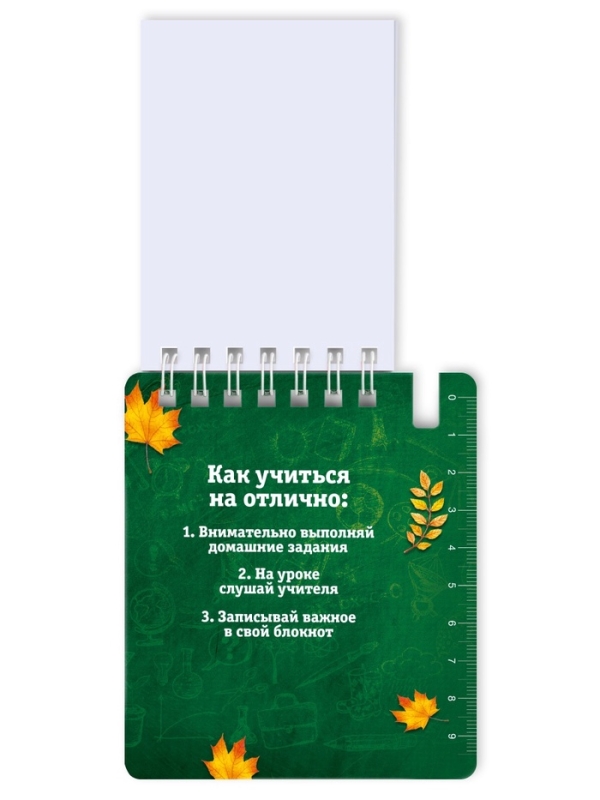 Набор блокнот и мини-ручка "Вперёд к знаниям"