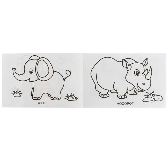 Раскраска &laquo;Зоопарк&raquo;, 8 страниц