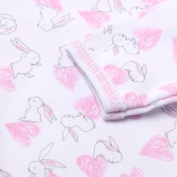 Боди детское с длинным рукавом, цвет белый/зайки, рост 62