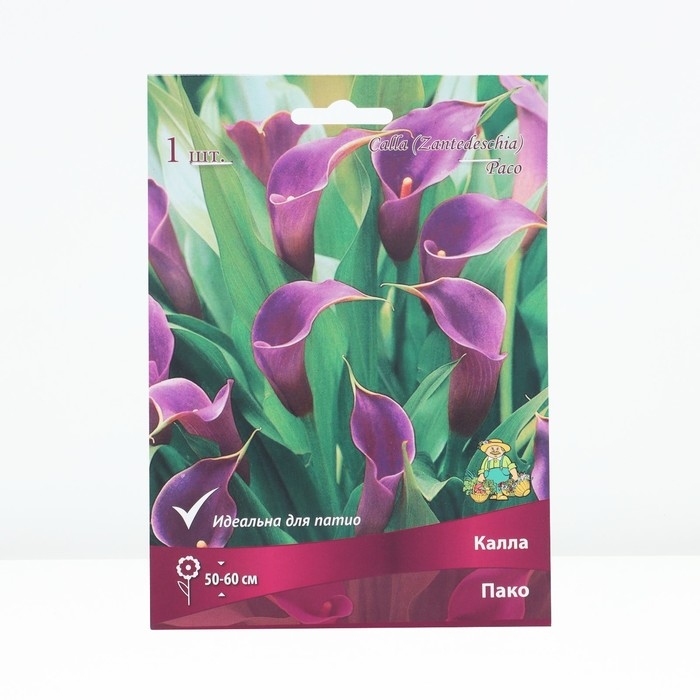 Калла Пако, р-р 14/16, 1 шт, Весна 2025
