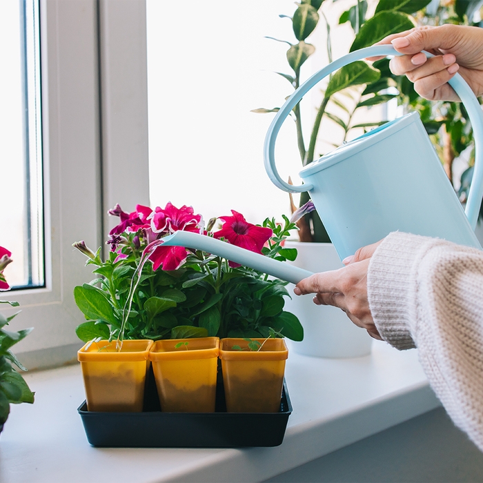 Лейка, 1,2 л, без рассеивателя, голубая, Greengo Лейка, 1,2 л, без рассеивателя, голубая, Greengo