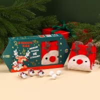 Подарочный набор &laquo;В носочках любой холод не страшен&raquo; : конфеты, носки