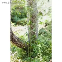 Колышек для подвязки растений, h=100 см, d=8 мм, стеклопластик, Greengo