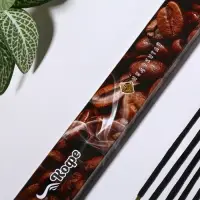 Благовония "Очарование востока Кофе", 20 палочек в упаковке