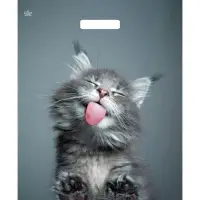 Пакет &laquo;Кот&raquo;, полиэтиленовый, с вырубной ручкой, 38&times;45 см, 60 мкм