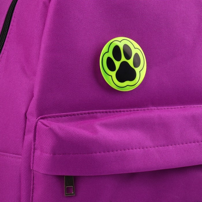 Светоотражающий значок &laquo;Лапка&raquo;, d = 5,8 см, цвет МИКС