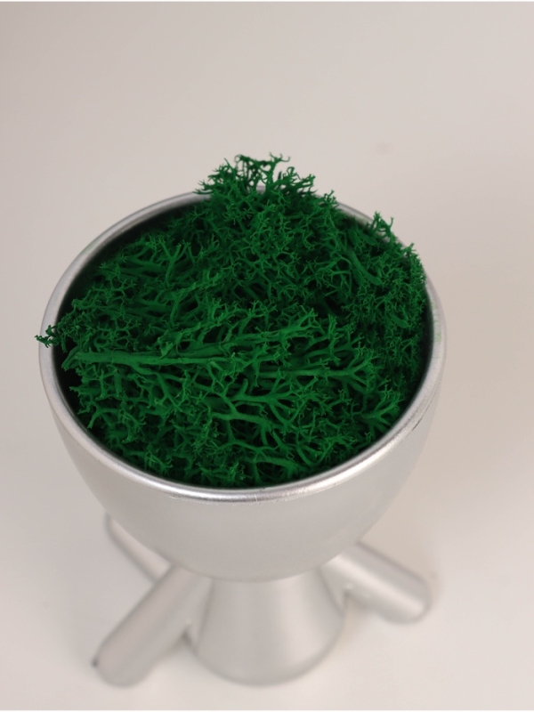 Кашпо пластиковое "Мистер Грин йог" 10,5*7,5*7,3 см серебро