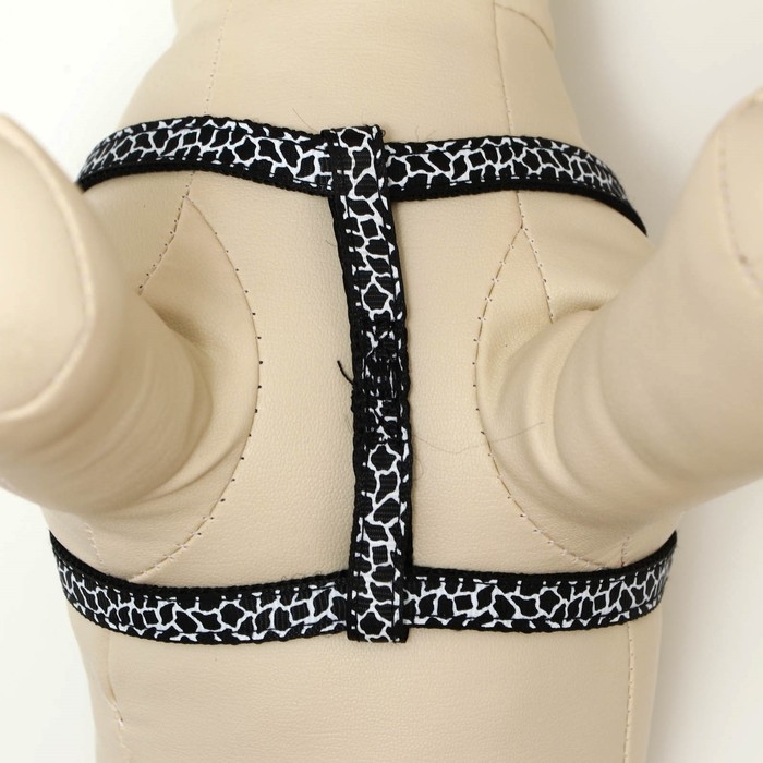 Комплект прошитый "Жираф", ширина 1 см, поводок 120 см, шлейка 23-35 см, чёрно-белый