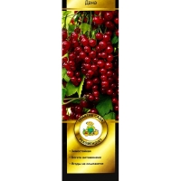 Смородина красная перспективные сорта Дана/ЦКорЛюкс