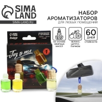 Ароматизатор в автомобиль на 23 Февраля &laquo;Газ в пол&raquo;, аромат: яблоко, цитрус, парфюм