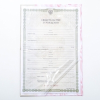 Папка для свидетельства о рождении &laquo;О рождении девочки&raquo;, А5