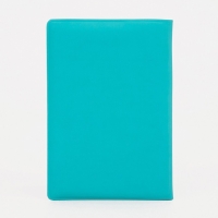 Обложка для паспорта, цвет голубой