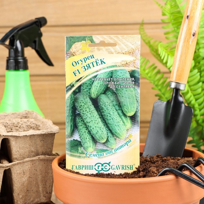 Семена Огурец Семена Огурец "Зятек" F1, скороспелый, партенокарпический, 10 шт.