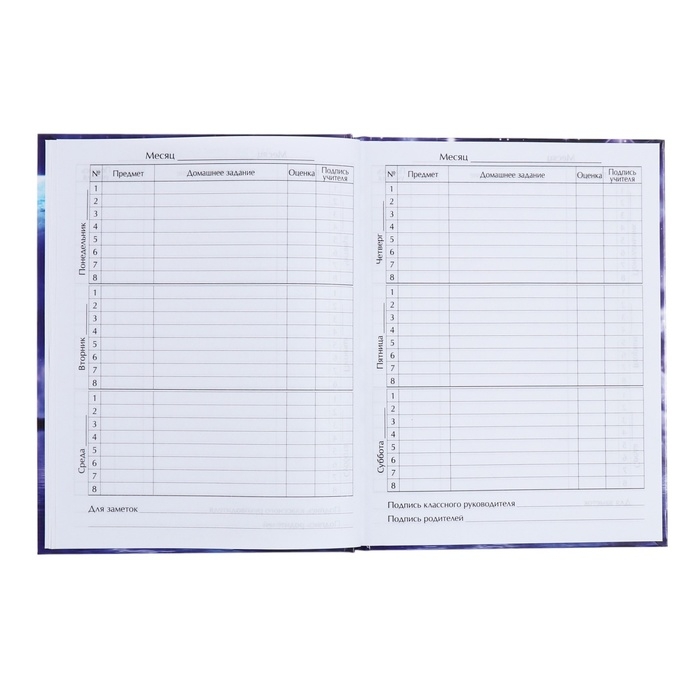 Дневник универсальный для 1-11 классов, "Космический корабль", твердая обложка 7БЦ, глянцевая ламинация, 40 листов