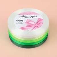 Набор атласных лент, 5 шт, размер 1 ленты: 6 мм &times; 23 &plusmn; 1 м, цвет зелёный спектр