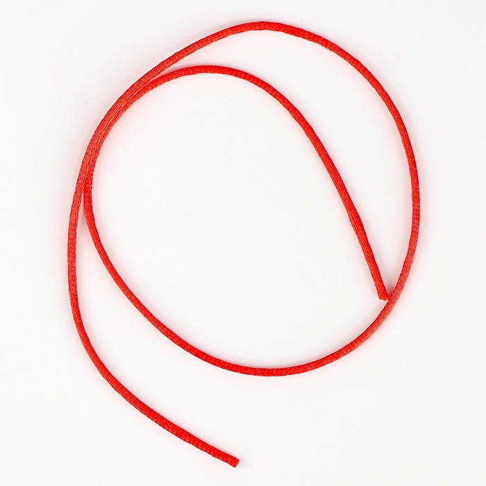 Набор для раскопок &laquo;В поисках змейки&raquo;, с инструментами