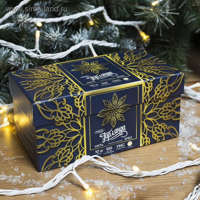 Гирлянда &laquo;Нить&raquo; 10 м, IP44, УМС, белая нить, 100 LED, свечение тёплое белое, 220 В