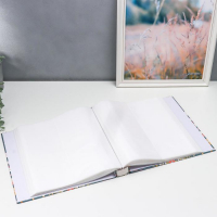 Фотоальбом 256 фото 13х18 см, 364 фото 10х15 см "Олень", в коробке 35х33,5х6,5 см