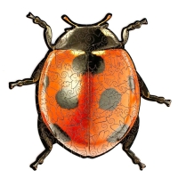 Пазл фигурный &laquo;Божья Коровка&raquo; S