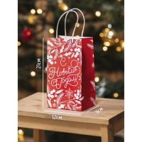 Пакет подарочный новогодний крафтовый «С Новым годом!», 12 х 21 х 9 см, Новый год Пакет подарочный новогодний крафтовый «С Новым годом!», 12 х 21 х 9 см, Новый год