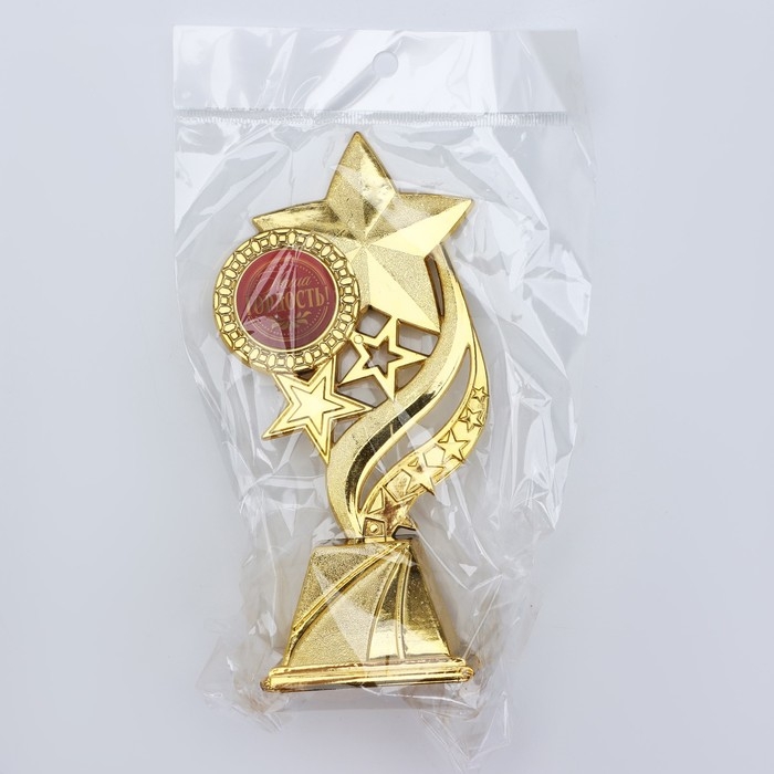 Кубок &laquo;Наша гордость&raquo;, наградная фигура, золото, пластик, 16,5 х 8 см.