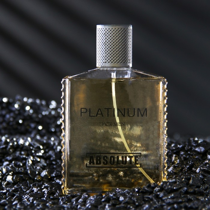 Туалетная вода мужская Absolute Platinum, 100 мл (по мотивам Egoiste Platinum (Chanel) Туалетная вода мужская Absolute Platinum, 100 мл (по мотивам Egoiste Platinum (Chanel)