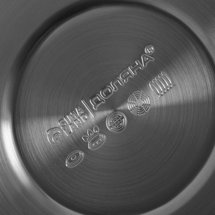 Чайник со свистком из нержавеющей стали Доляна &laquo;Расцвет&raquo;, 2,8 л, фиксированная ручка, с индикатором нагрева