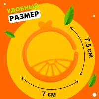 Развивающая игрушка-цепочка для зубов &laquo;Фруктовые колечки&raquo;
