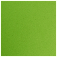 Коврик для йоги Sangh, 183х61х0,7 см, цвет зелёный