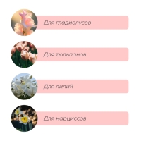 Корзинка для луковичных, овальная, 30.6 &times; 27 см, h = 7.5 см, МИКС