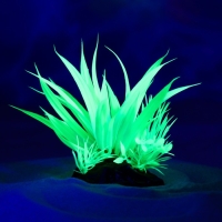 Растение искусственное аквариумное, светящееся, 10 см, зелёное Растение искусственное аквариумное, светящееся, 10 см, зелёное