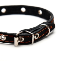 Ошейник кожаный однослойный с рифлеными люверсами, 35х1,2 см, ОШ 10-28 см, безразмерный, микс цветов Ошейник кожаный однослойный с рифлеными люверсами, 35х1,2 см, ОШ 10-28 см, безразмерный, микс цветов