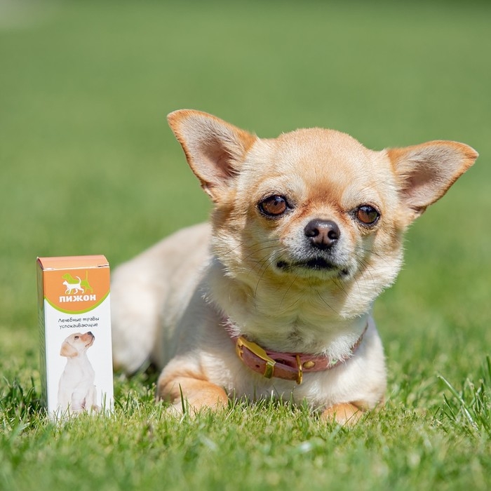 Лечебные травы Лечебные травы "Пижон" успокаивающие, для собак, 50 мл