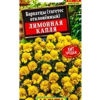 Семена цветов Бархатцы Лимонная капля отклоненные , Ц/П,0,3 г