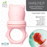 Ниблер для прикорма &laquo;Мишка&raquo; с силиконовой сеточкой, цвет розовый