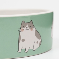 Миска керамическая "Котяры" 300 мл  12,5 x 4,5 cм, бело-зелёная