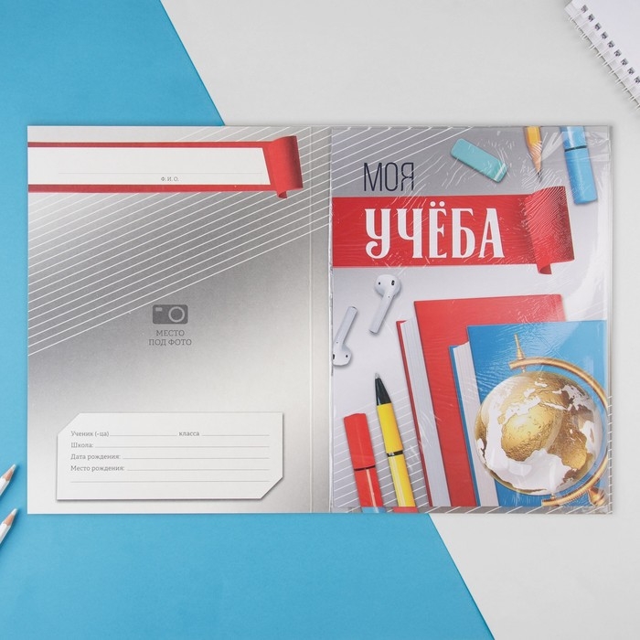 Папка школьная с креплением &laquo;Портфолио школьника&raquo;, 5 листов-разделителей, 21,5 х 30 см.