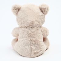 Мягкая игрушка «Мишутка», 25 см, цвета МИКС Мягкая игрушка «Мишутка», 25 см, цвета МИКС