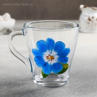 Кружка стеклянная &laquo;Коллекция цветов&raquo;, 250 мл, рисунок МИКС