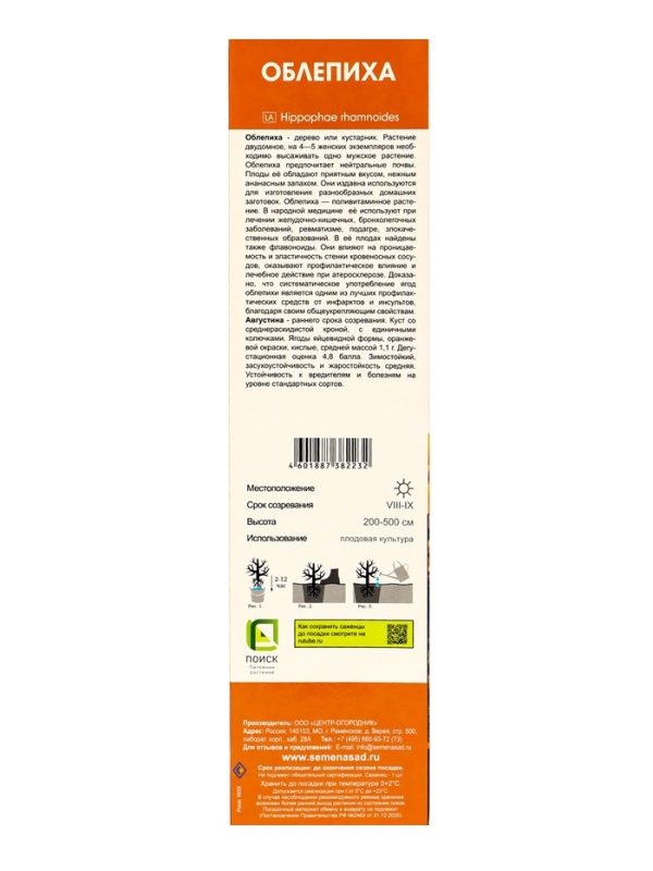 Облепиха "Августина", туба, 1 шт, Весна 2025