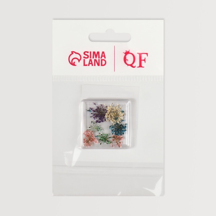 Сухоцветы для декора ногтей, в футляре, вид МИКС Сухоцветы для декора ногтей, в футляре, вид МИКС