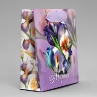 Пакет подарочный ламинированный, упаковка, &laquo;8 марта&raquo;, S 12 х 15 х 5.5 см
