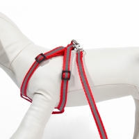 Комплект со светоотражающей лентой, ошейник 120 х 1 см, ОГ 26-40 см, красный