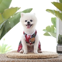 Платье для животных Тропики, S (ДС 25, ОГ 35 см), красное