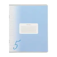 Комплект тетрадей из 10 штук, 24 листа в клетку Calligrata "Пятёрка", обложка мелованный картон, ВД-лак, блок офсет, 5 видов по 2 штуки