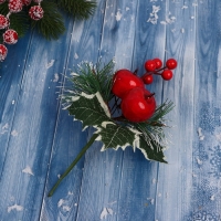 Декор "Зимние грезы" яблоки снежные еловые веточки шишки, 16 см