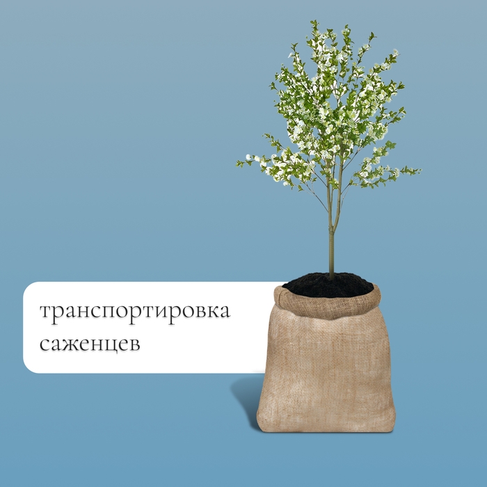 Мешок джутовый, 40 &times; 60 см, плотность 26 &times; 26 нитей, без завязок, Greengo