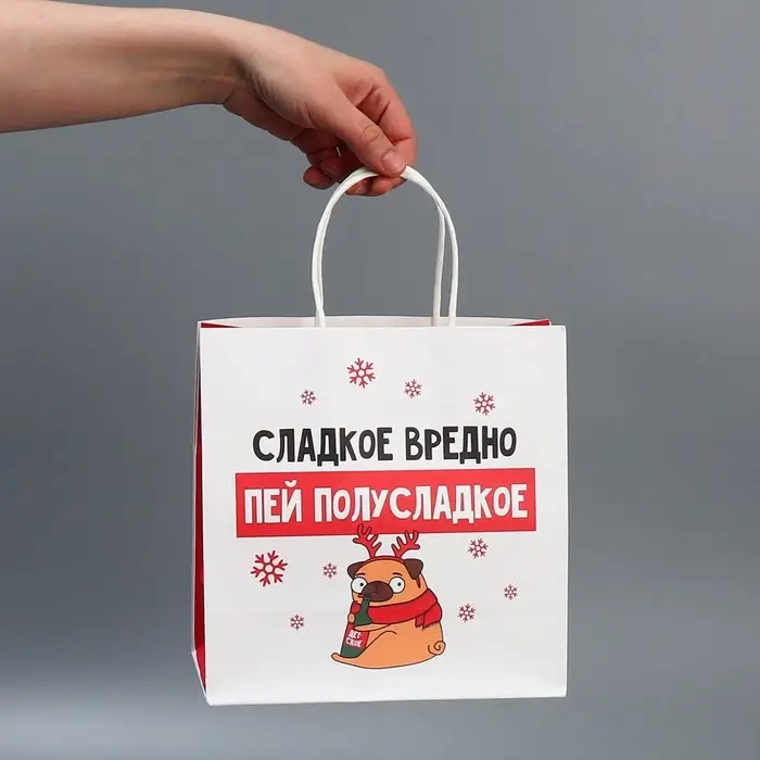 Набор новогодних пакетов &laquo;Пусть мечты сбудутся&raquo;